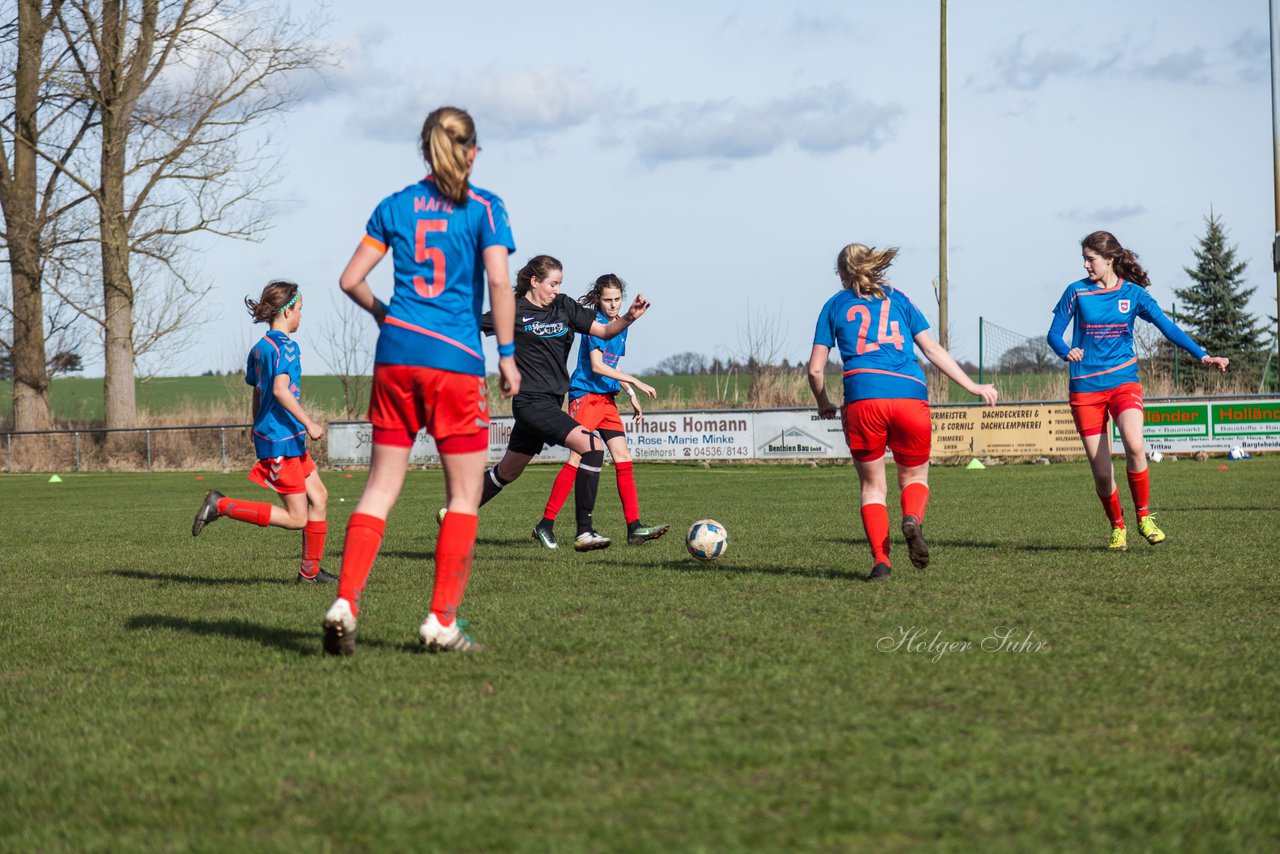 Bild 269 - C-Juniorinnen SV Steinhorst/Labenz - TSV Friedrichsberg-Busdorf : Ergebnis: 5:0